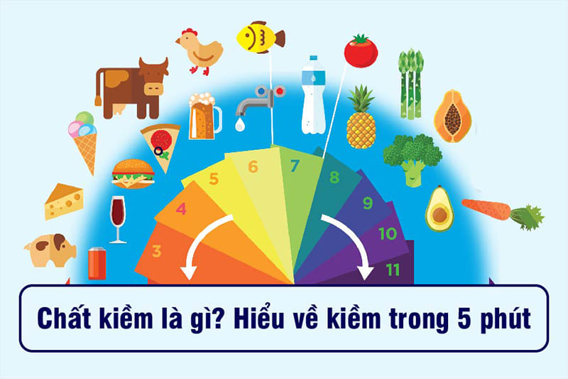Kiềm là gì? Bật mí những cách kiềm hóa cơ thể giúp tăng cường sức khỏe