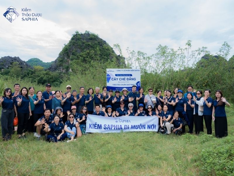 Vùng trồng dược liệu của kiềm Saphia luôn đảm bảo tiêu chuẩn chất lượng