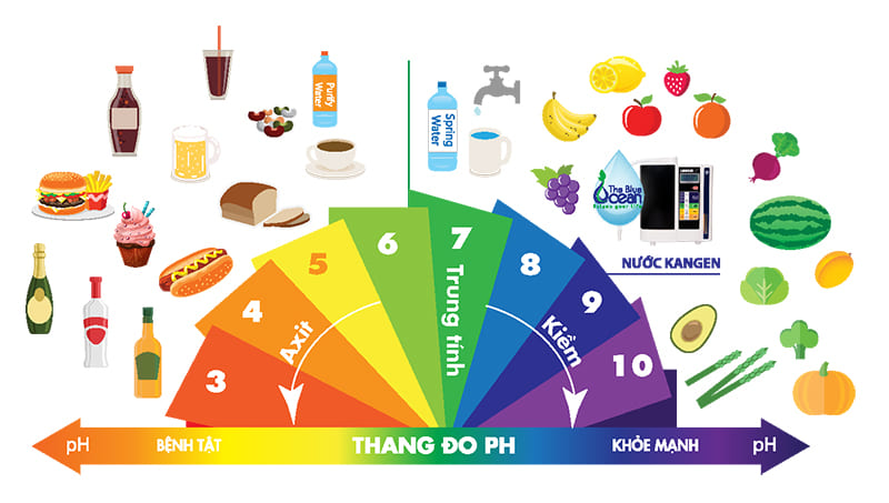 Độ pH và cách cân bằng độ pH cho cơ thể