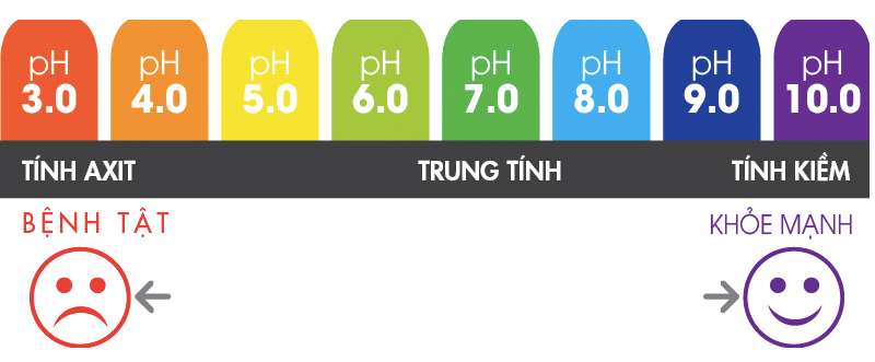 Nồng độ pH của một cơ thể người khỏe mạnh giao động từ 7.3 - 7.4