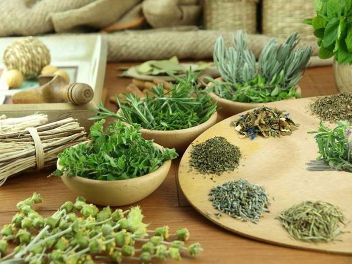 Kiềm Saphia: Sáng chế độc quyền “đánh thức” tiềm năng thảo dược Việt