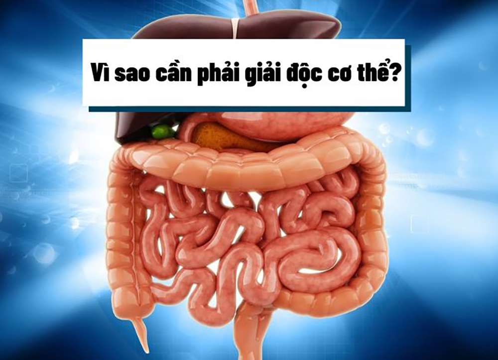 Kiềm thảo dược đào thải độc tố trong cơ thể như thế nào?