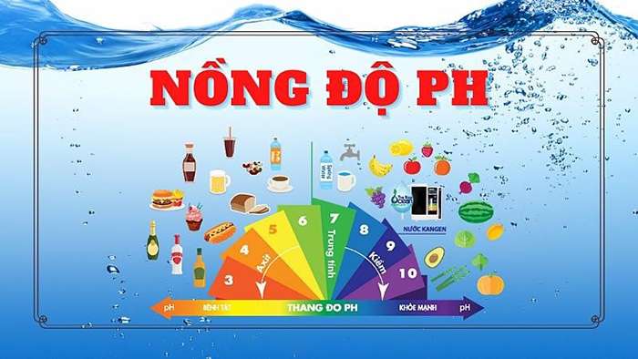 Cách thử quỳ tím tại nhà kiểm tra nồng độ pH trong cơ thể