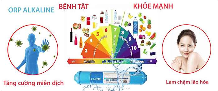 Cách bổ sung kiềm tự nhiên vào cơ thể nhanh nhất