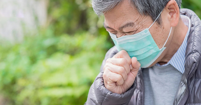 Lá tía tô: thần dược nhân gian mà ai cũng nên sử dụng