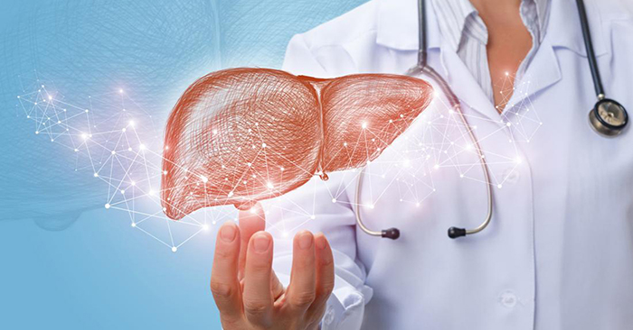 Uống nước cây cà gai leo có tác dụng gì – 9 điều không thể bỏ qua