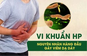 vi khuẩn HP dạ dày