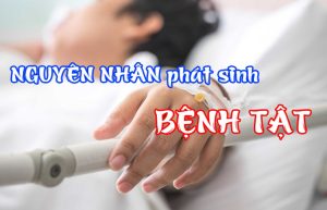 gốc rễ của bệnh tật, goc re cua benh tat