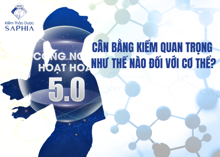 Kiềm Thảo Dược Saphia Ai Nên Sử Dụng Để Đạt Hiệu Quả Hỗ Trợ Sức Khỏe Tối Ưu?