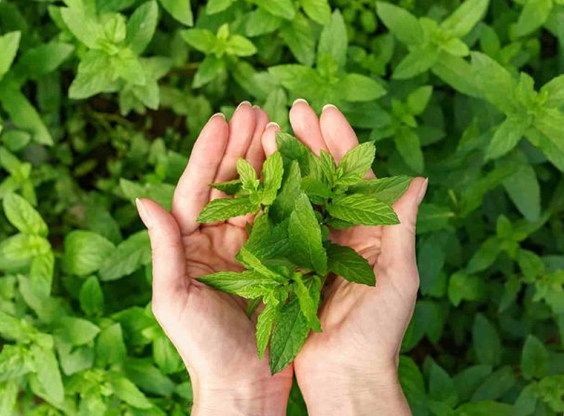 Sứ Mệnh Của Chúng Tôi