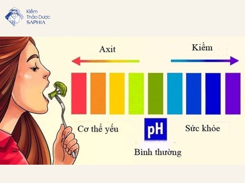 An Gi De Kiem Hoa Co The 1