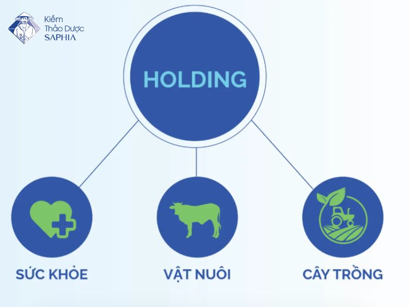 Công ty cổ phần Kiềm Saphia phát triển nhiều dòng sản phẩm khác nhau