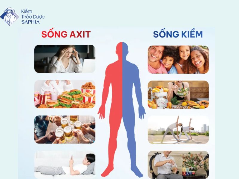 Sản phẩm kiềm Saphia hỗ trợ đưa cơ thể trở về trạng thái cân bằng kiềm