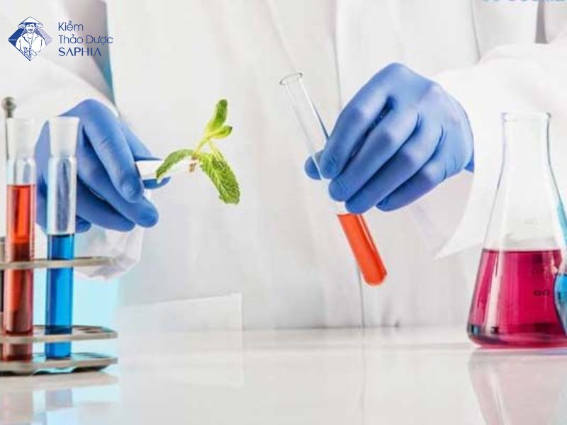 Sản phẩm được nghiên cứu kỹ lưỡng