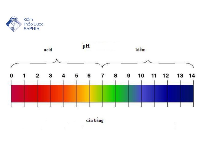 Mỗi bộ phận trên cơ thể sẽ có độ pH lý tưởng khác nhau