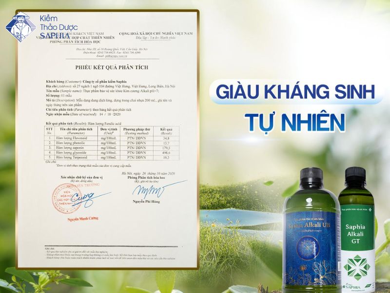 Kiềm thảo dược Saphia giàu kháng sinh tự nhiên