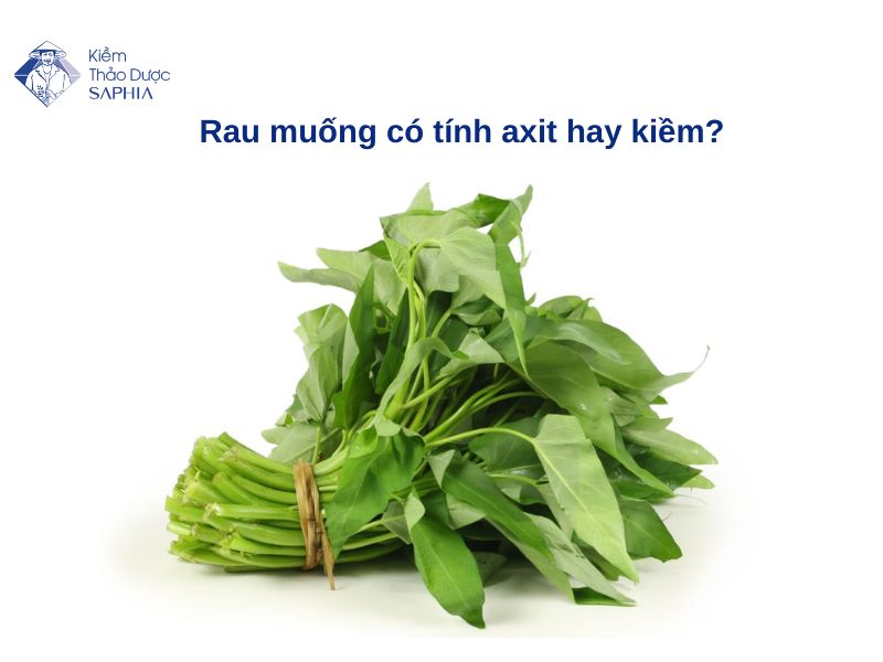 Rau Muong Co Tinh Axit Hay Kiem 1