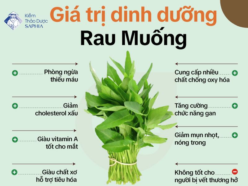 Rau Muong Co Tinh Axit Hay Kiem 2