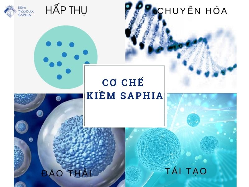 Trao Nguoc Da Day Uong Nuoc Kiem 5