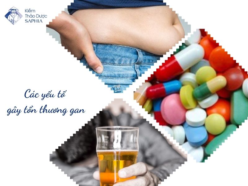 Cac Cach Thai Doc Gan 2