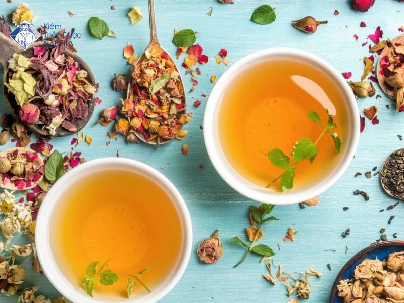 Cay Thao Duoc Co Tinh Kiem 7