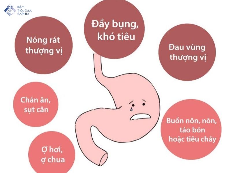 Che Do Dinh Duong Cho Nguoi Viem Loet Da Day 1