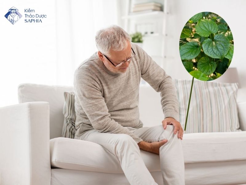 La Cay Tri Dau Xuong Khop 1