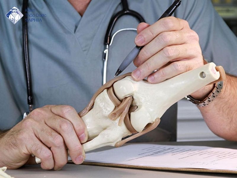 La Cay Tri Dau Xuong Khop 3