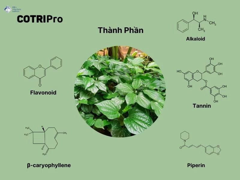 La Lot Co Tri Dau Xuong Khop Khong 2