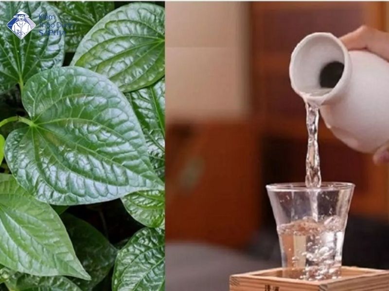 La Lot Co Tri Dau Xuong Khop Khong 4