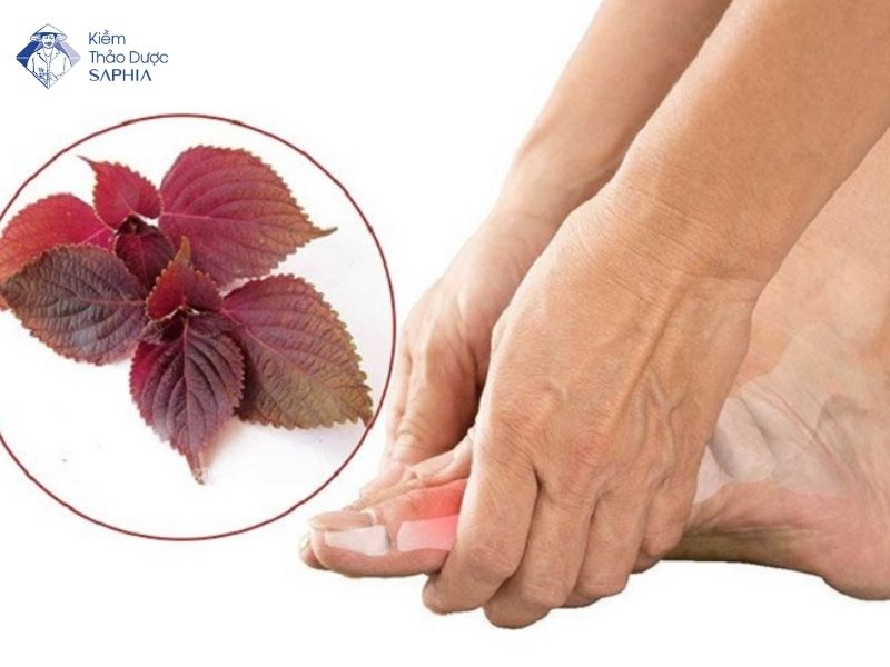 La Tia To Co Tri Dau Xuong Khop Khong 3