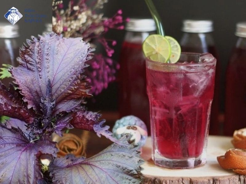 La Tia To Co Tri Dau Xuong Khop Khong 4