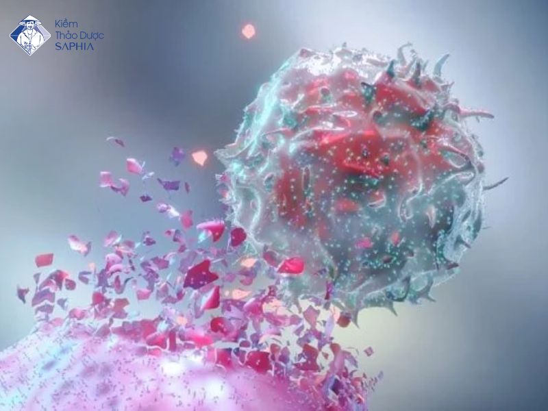 Te Bao Ung Thu So Gi Nhat 1