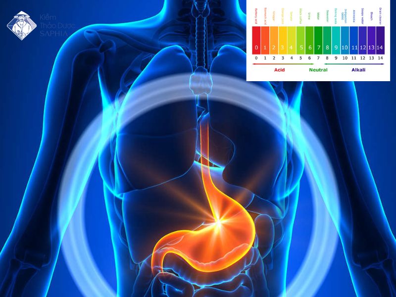 Te Bao Ung Thu So Gi Nhat 2