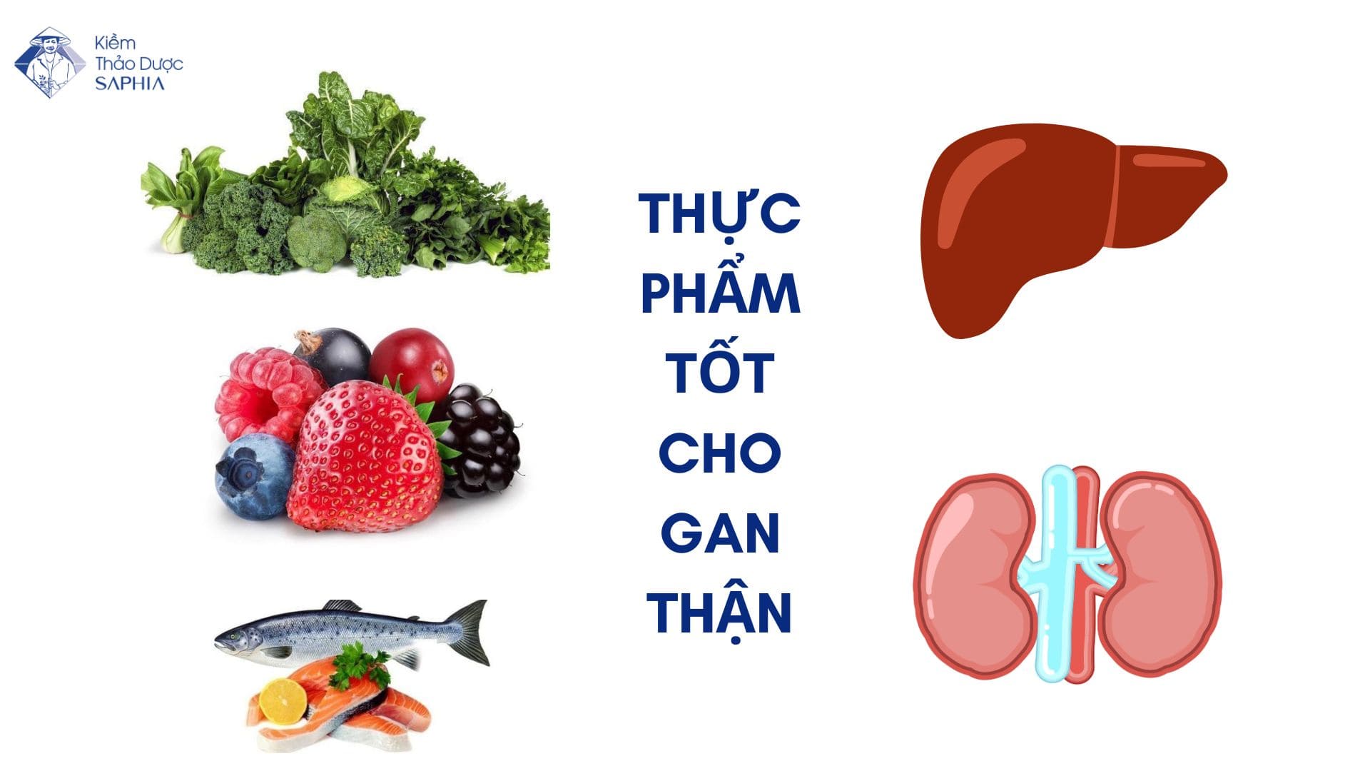 Top 11 thực phẩm tốt cho gan thận bạn không nên bỏ qua