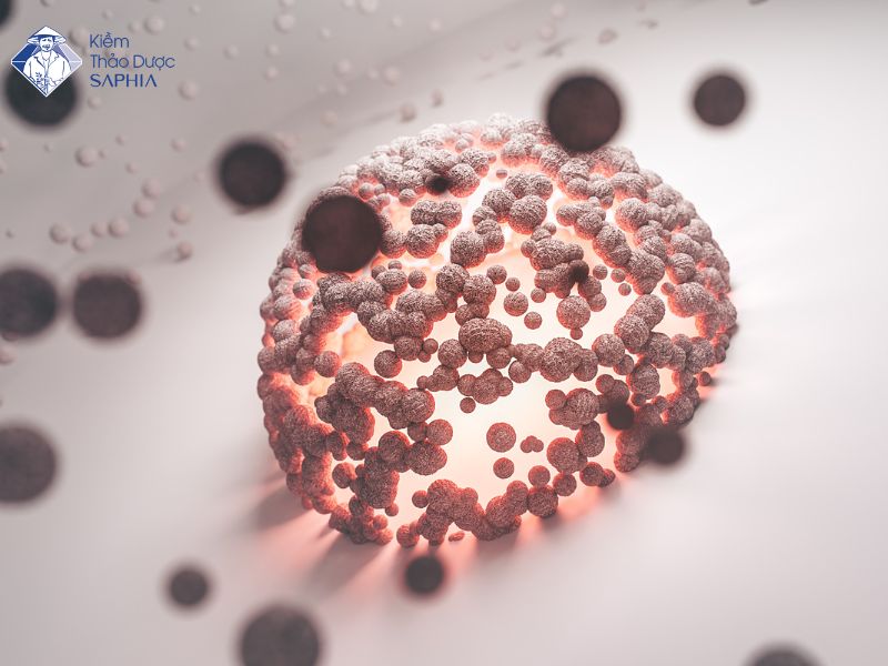 Cong Dung Nuoc Ion Kiem 2