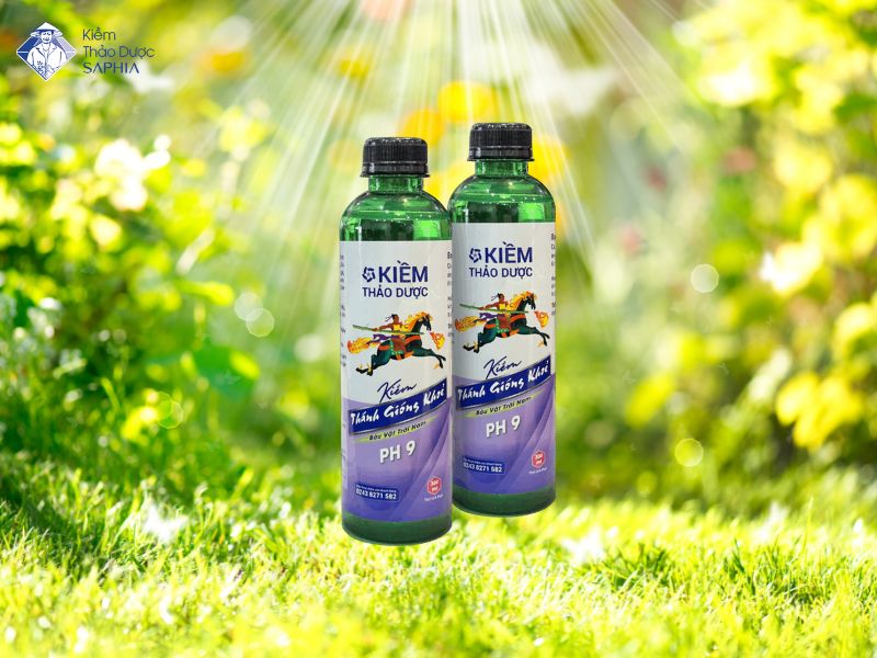 Kiem Thanh Giong Va Kiem Thanh Giong Khoe 3