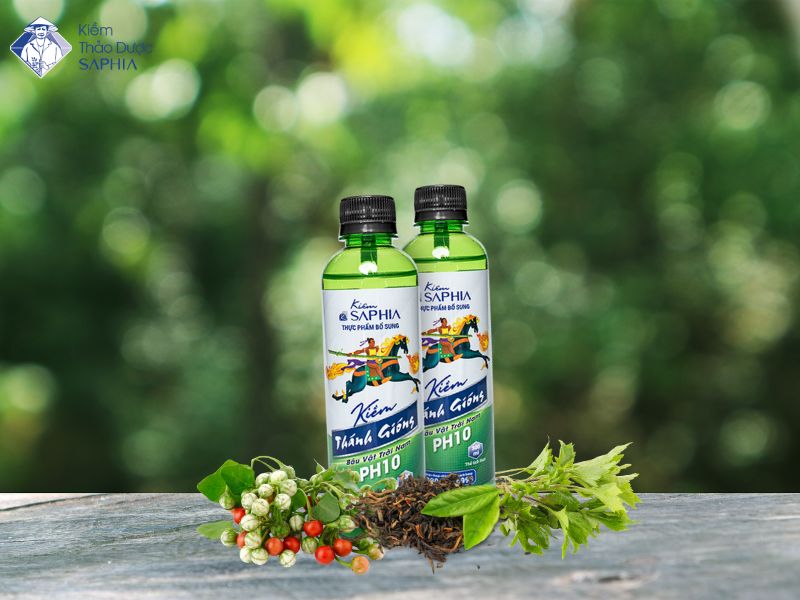 Kiềm thánh gióng, giải pháp nâng cao sức khỏe hằng ngày