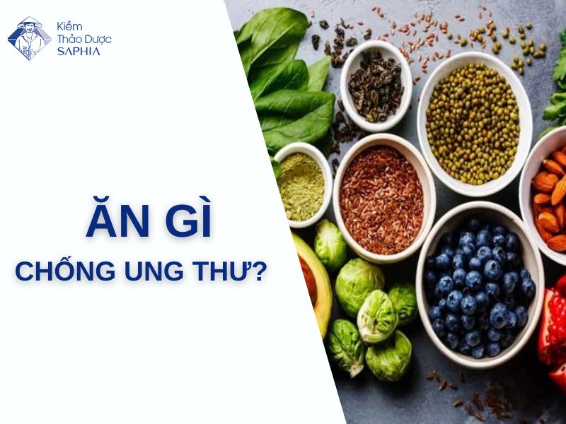 Thuc Pham Chong Ung Thu 1