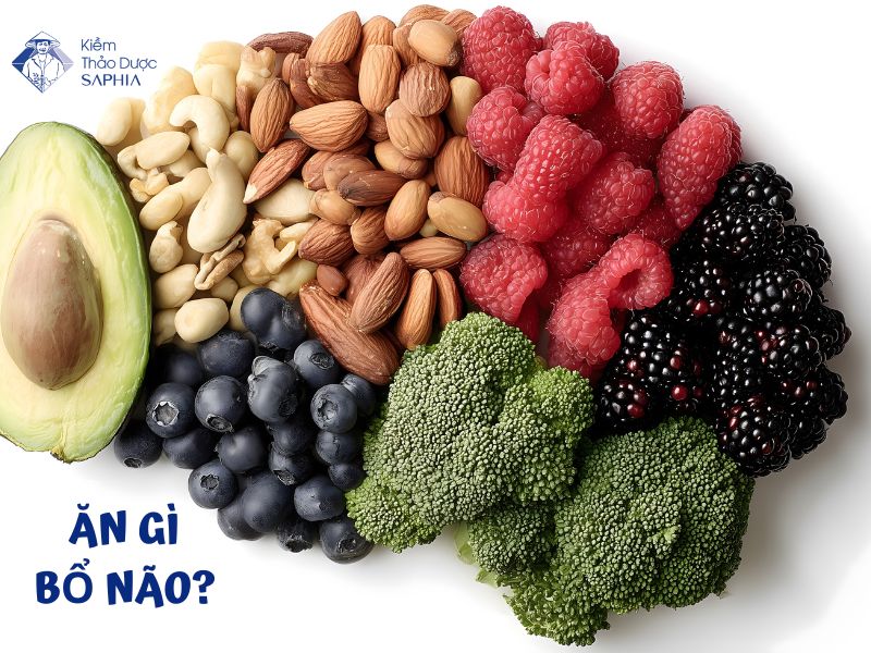 Danh sách các loại trái cây bổ não giúp cải thiện trí nhớ tốt nhất