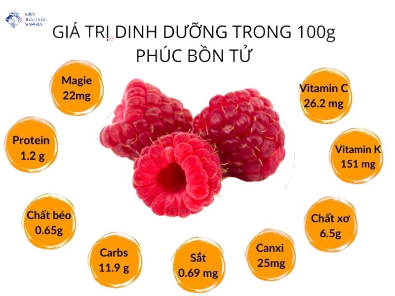 Giá trị dinh dưỡng trong quả mâm xôi