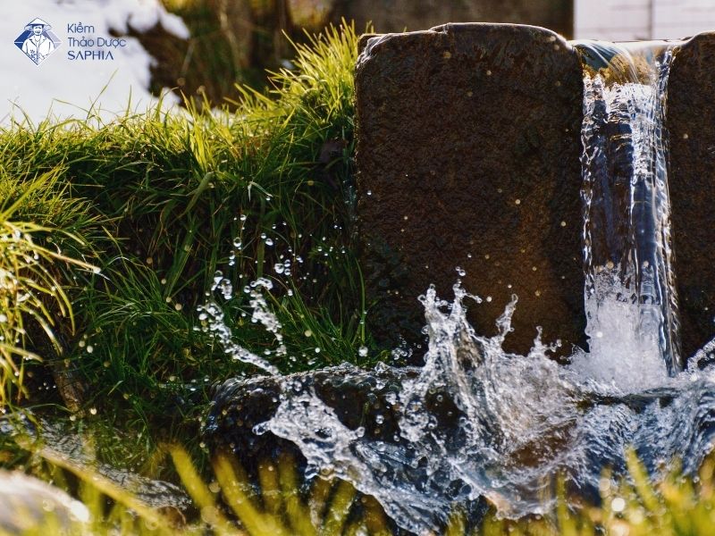 Nuoc Kiem Loai Nao Tot 2