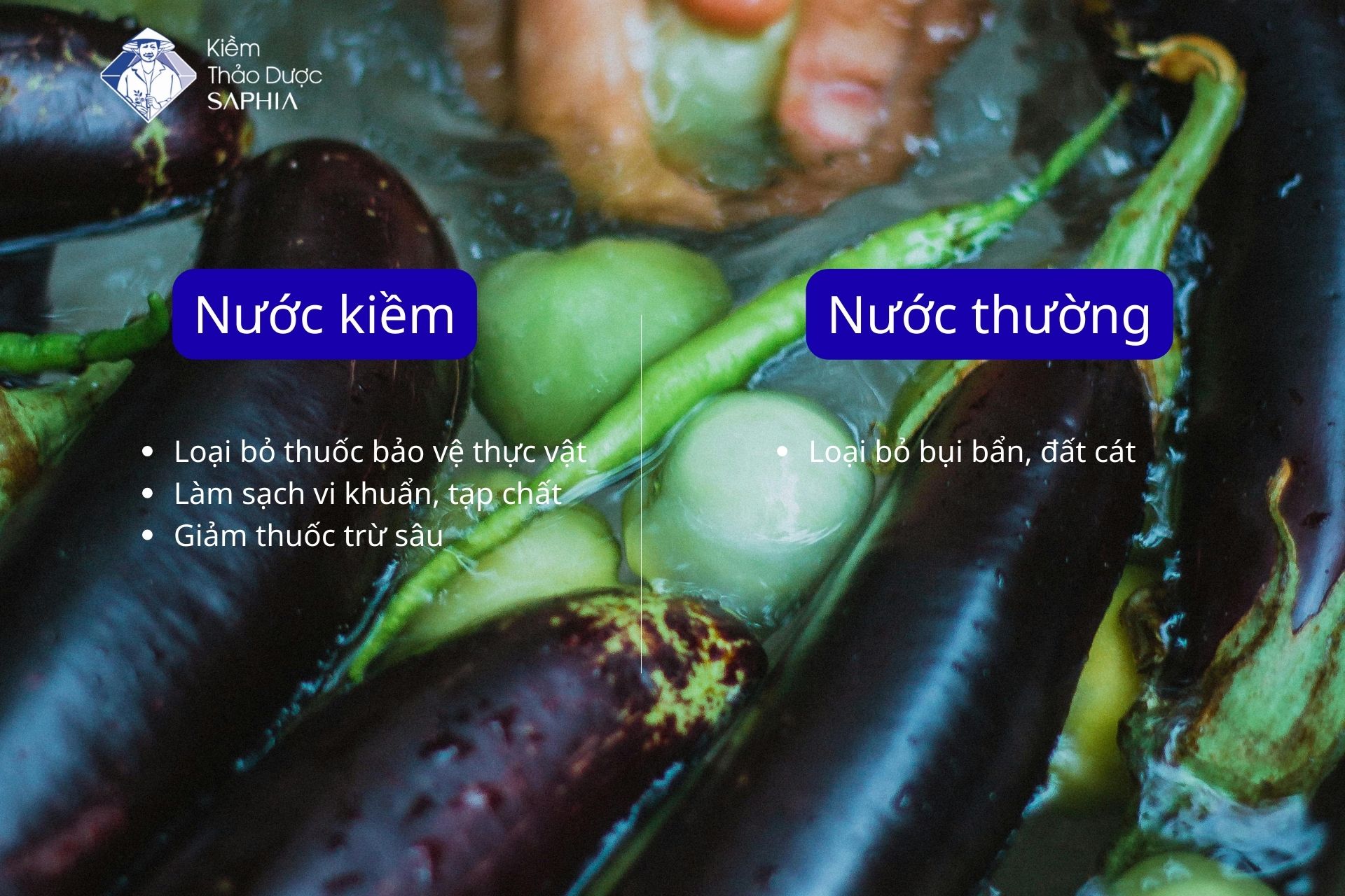 Có nên sử dụng nước kiềm ngâm rau hay không? Cách rửa đúng cách