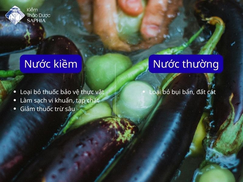 Nuoc Kiem Ngam Rau 2