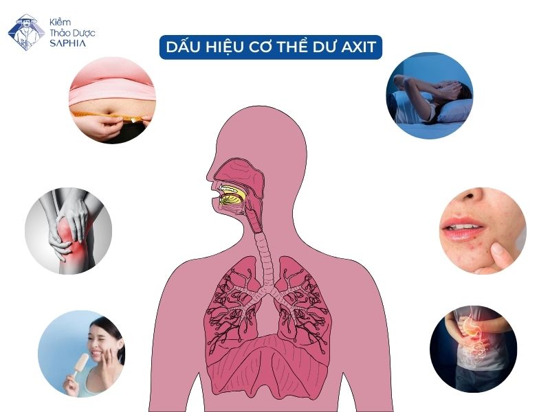 Dau Hieu Co The Bi Du Axit 2