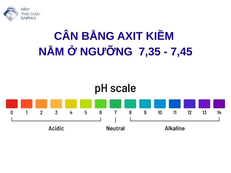 Mat Can Bang Axit Kiem 1