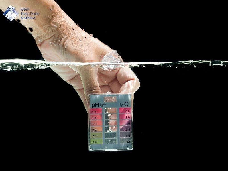 Nuoc Kiem Cho Da Day 1