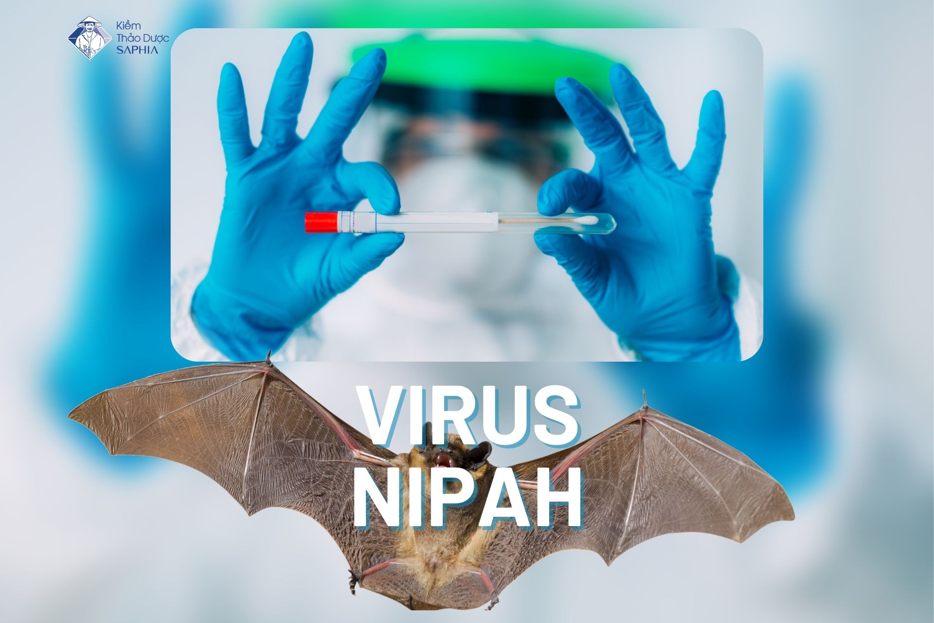 Virus Nipah là gì? Nguyên nhân, triệu chứng và phòng ngừa