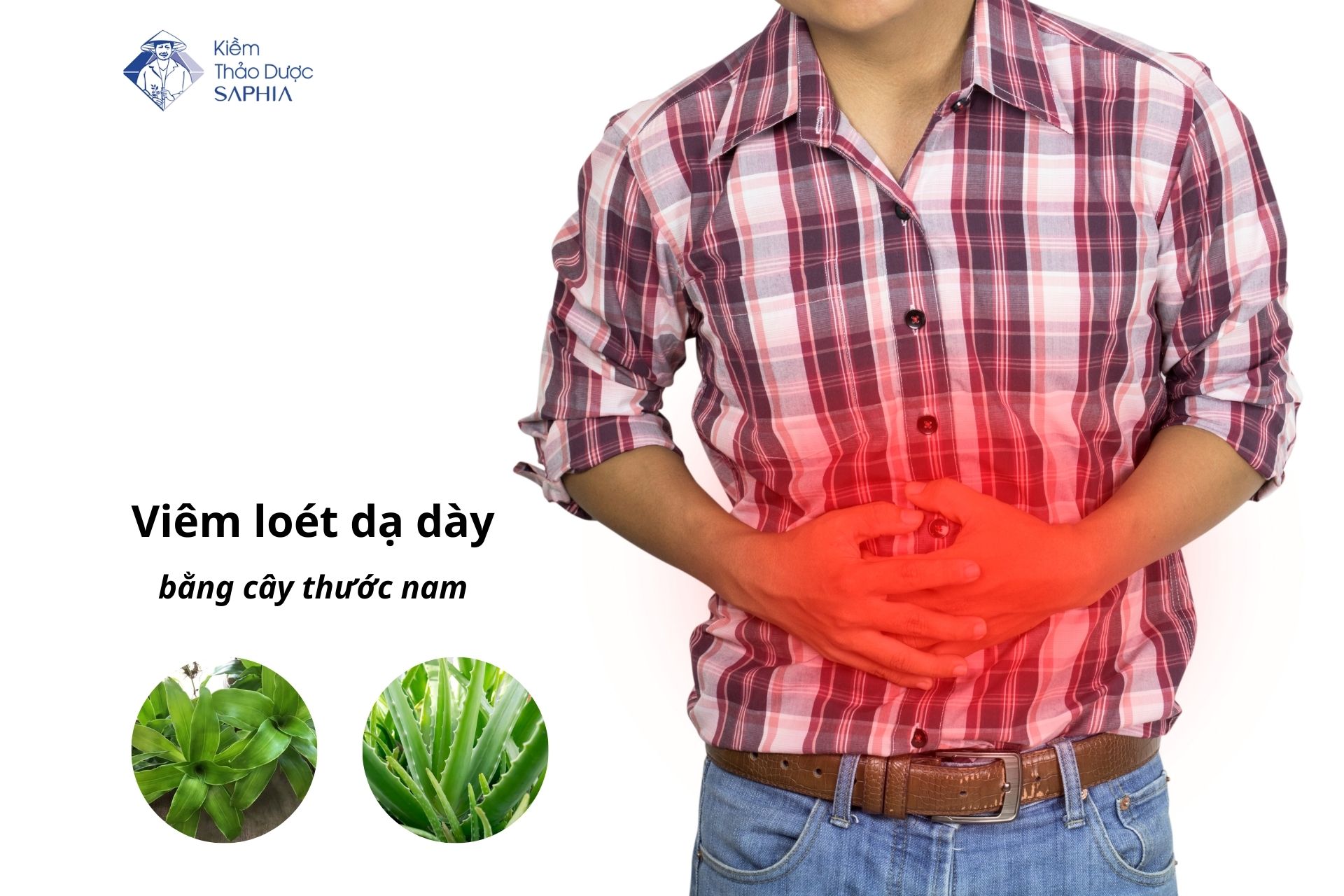 Những cây thuốc nam chữa viêm loét dạ dày hiệu quả ít ai biết