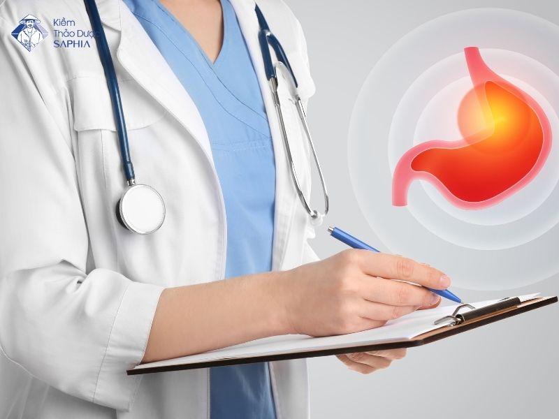 Kiem Da Day Saphia Ho Tro Giam Trao Nguoc Da Day 1